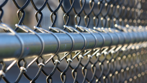 Chain Link Fence Service in Dever, Colorado